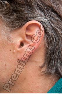 Ear texture of street references 388 0001